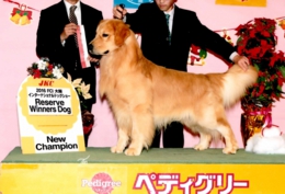 ヘンリー１.jpg