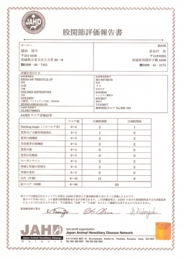 お花　股関節評価報告書.JPG