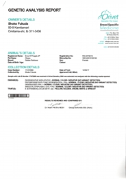 EPSON004.JPG
