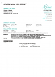 EPSON005.JPG