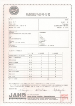 フラン　股関節評価報告書.jpg