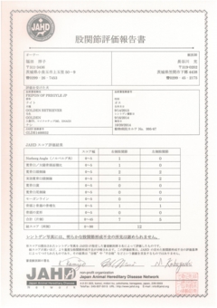 ナイト　股関節評価報告書.jpg