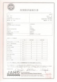 マック　股関節評価報告書.jpg