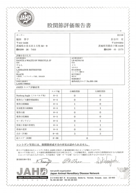EPSON014.JPG