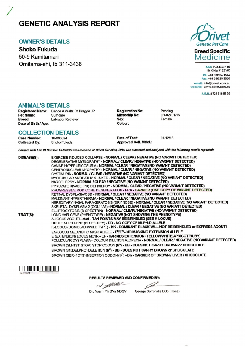 EPSON016.JPG