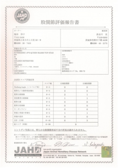 星　股関節評価報告書.jpg