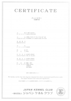 チャンピオン証明書　星.jpg