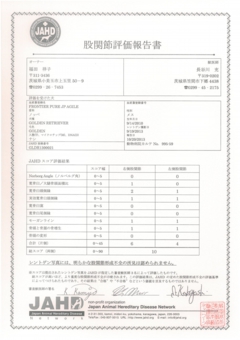 ノッペ　股関節評価報告書.jpg
