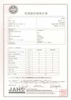 あやめ　股関節評価報告書.jpg