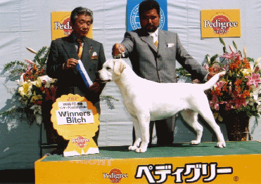 祖母オグ.gif