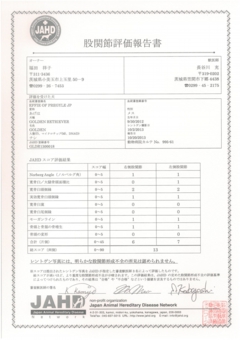 あげは　股関節評価報告書.jpg