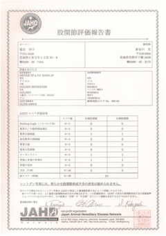 アリエル　股関節評価報告書.jpg