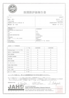 デイジー　股関節評価報告書.jpg