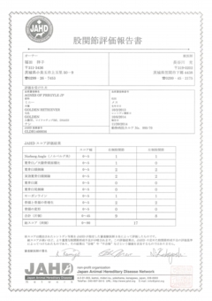 ミニー　股関節評価報告書.jpg