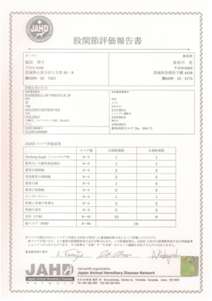 栞　股関節評価報告書.jpg