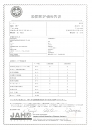 スノー　股関節評価報告書.jpg