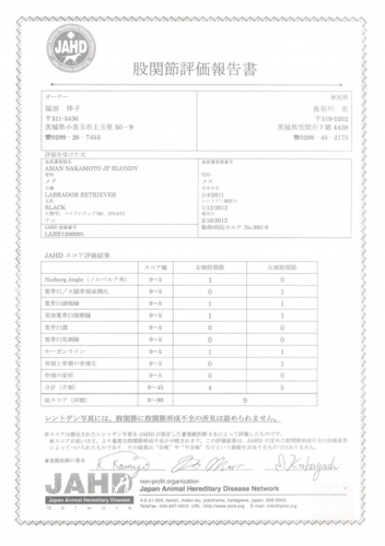 メグ　股関節評価報告書.jpg