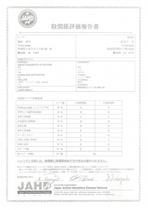 ユナ　股関節評価報告書.jpg