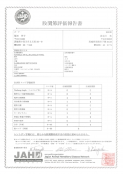 ゆり　股関節評価報告書.jpg